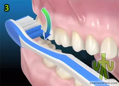 Brush movement relative to teeth